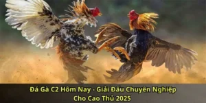 Đá Gà C2 Hôm Nay - Giải Đấu Chuyên Nghiệp Cho Cao Thủ 2025 